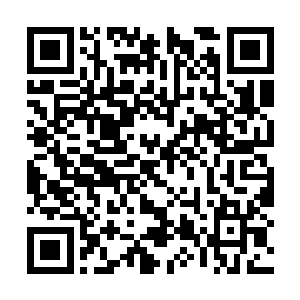 他的亲友或者联邦有权利终止维持他们的生命体征二维码生成