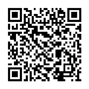 他的伪罡气领域的力量也是瞬间发挥到了极致的二维码生成