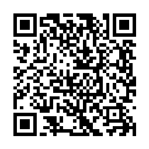 他的体内可能封印着历任归塘星域历任领主的力量二维码生成