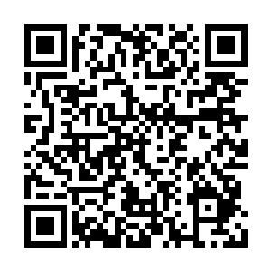 他的信息处理能力显然此时正在面临严峻的挑战二维码生成