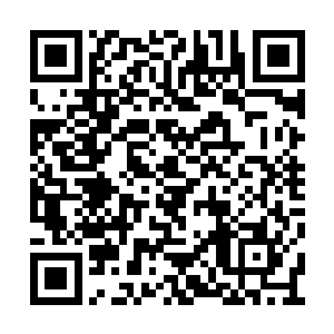 他的其他手下现在也是直接将大帽子围在了中间二维码生成