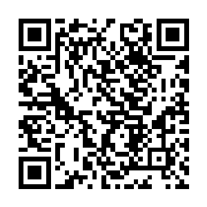 他的养兔场愣是从一百多只种兔发展到了一千多只二维码生成