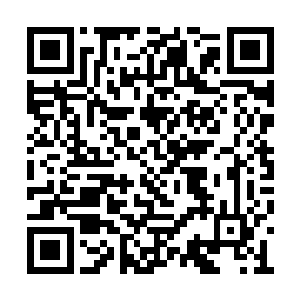 他的剑速……已经相当于几年前初入大学士的我二维码生成