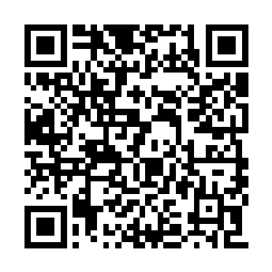 他的力量甚至可以媲美我见过的B级以上的怪物二维码生成