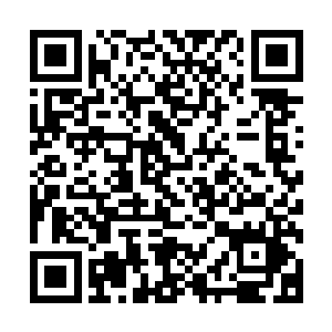 他的动作直接牵连着此时全部走上踏天桥上的八十尊神道天骄二维码生成