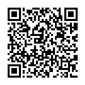 他的半边脸蛋赫然已经多出了五道鲜红的手指印……二维码生成