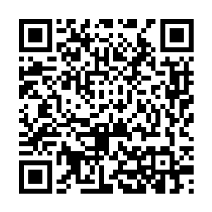 他的原型会让流墨墨她们几魂想起银光舌焰族当年的逃逸二维码生成