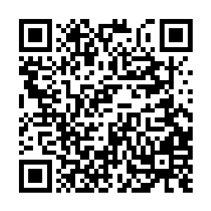 他的名声在短短几个时辰内就已经传遍了整个校园二维码生成