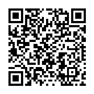 他的善恶树和生命树都是不逊于人参果树和蟠桃树的天地灵根二维码生成