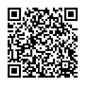他的土之力水之力和木之力因为金之力和火之力相生淬炼的关系二维码生成
