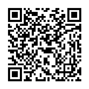 他的奶奶直接将面前的金色瓷瓶又放回到了李锐的手里二维码生成