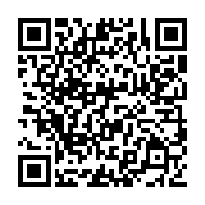 他的妻子张丽珍便迫不及待地拉开了皮袋的拉链二维码生成