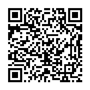 他的客观立场就决定了演员必须依靠自己的表演将问题呈现出来二维码生成
