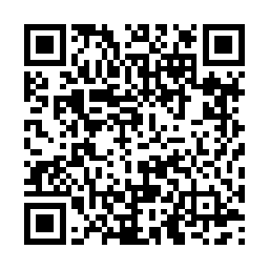 他的徒弟也仿佛是被火烧了屁股一样直接一跃而起二维码生成