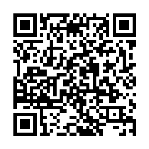 他的战斗技能可能不如疯马这样特种部队出身的同伴二维码生成