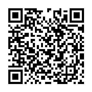 他的手已经从后腰上掏出了一支根漆黑闪亮的电棍二维码生成