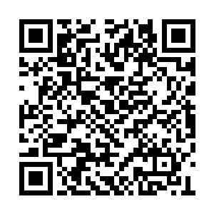 他的手最终颤抖地罩在了小家伙的另一半身体上二维码生成
