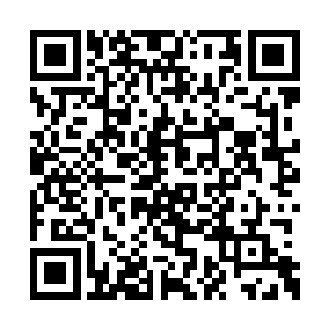 他的拳头根本没有像他想的那样砸向苏凡的脑袋二维码生成