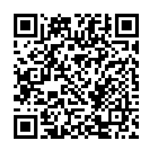他的拳法与掌法都达到了一个令叶然咂舌不已的境地二维码生成