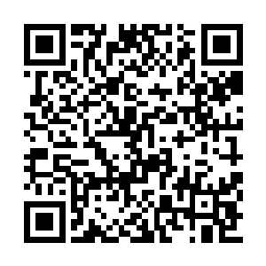 他的攻击不停的砸在佐大夫的乌龟壳和姨妈巾上二维码生成