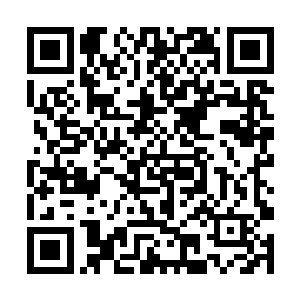 他的整个脑子之中大部分的思维神经都已经被冻僵了二维码生成