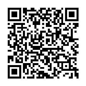他的整颗头颅就已经像西瓜一样被砸的四分五裂二维码生成