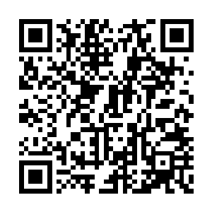 他的样子在内院低等层次天阶强者中早已经传开二维码生成