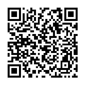 他的汇报来自于元老会内部的指挥大厅的留守人员二维码生成