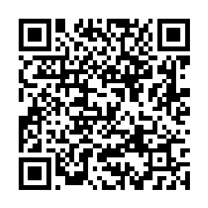 他的法则之力也是直接将夏天给硬生生的打了出来二维码生成