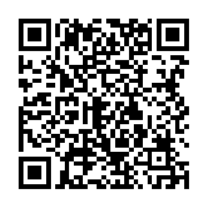 他的注意力却是发现了跟在著名身后的一个保镖的身上二维码生成