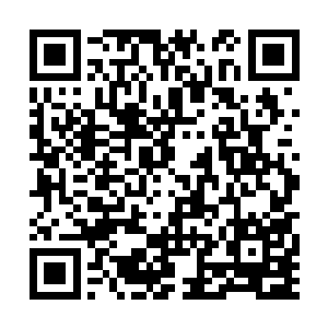 他的注意力完全都在建立自己的x能力调度功法上二维码生成