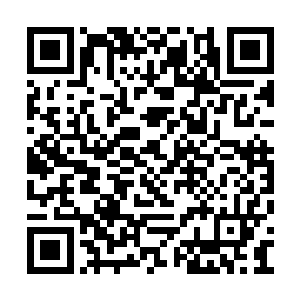 他的注意力被床对面墙上的一幅牡丹图吸引住了二维码生成