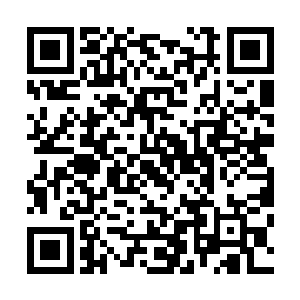 他的父亲极恶之主肯定会为了维护极恶炼狱的颜面而出手的二维码生成