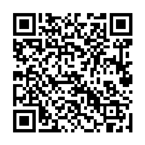 他的画最后被京城风声画廊以一百六十一万的价格售出二维码生成