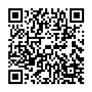 他的画雪小斋的名誉并没有因为出现赝品而有过多的损失二维码生成