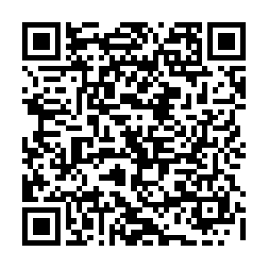 他的目光便转向了方才顺手从此人手中接过的一个贴满了封禁符的小小木盒二维码生成