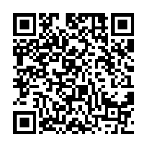他的目光便透过大开的房门看到了躺在地上的布拉德二维码生成