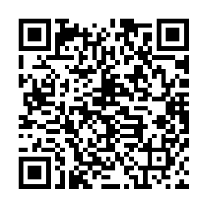 他的目光在这些上古凤族前辈们留下的图腾石刻上一一扫过二维码生成