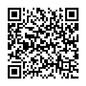 他的目的就是看看大猿族人的兽化技能的威力如何二维码生成