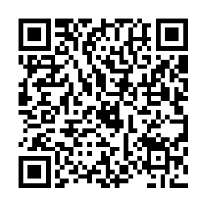 他的真元让我感受到了一点什么……我想仔细体悟体悟……二维码生成