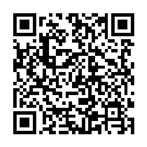 他的眼前好像出现了一个略微胆怯而倔强的少女身影二维码生成