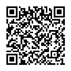 他的眼孔之中在逐渐放大那一枪爆刺过来的虚影二维码生成