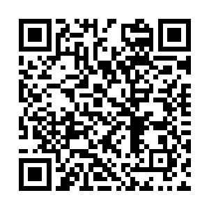 他的瞳孔中倒映出一头不存在于天南域的古老生物二维码生成