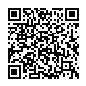 他的确没有把握能赢得了他们门中的那些老怪物二维码生成