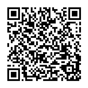 他的离经叛道不羁世俗轻狂张扬都让老头觉得这才是少年该有的血气二维码生成