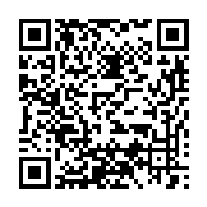 他的背后猛然冲出一把血红战刀对着萧猛就是狠命一击……二维码生成