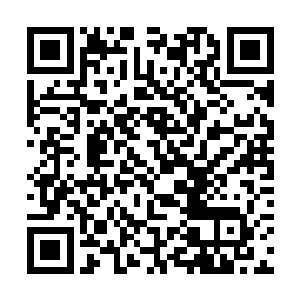 他的胳膊上不知道合适诡异的伸出了一根黑色的利刺二维码生成