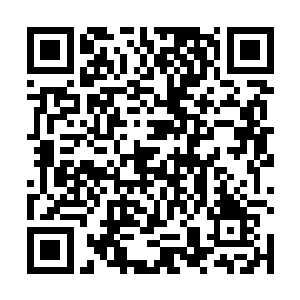 他的脑海里浮现出当初黑杰克杀死那头棕熊使用的技巧二维码生成