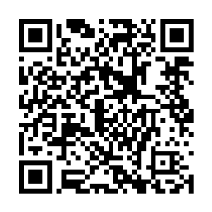 他的表现甚至比那些大三和大四的老鸟们还要优秀二维码生成