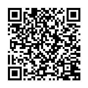 他的诅咒法则并没有如力量法则和空间法则那般突破到神王境二维码生成